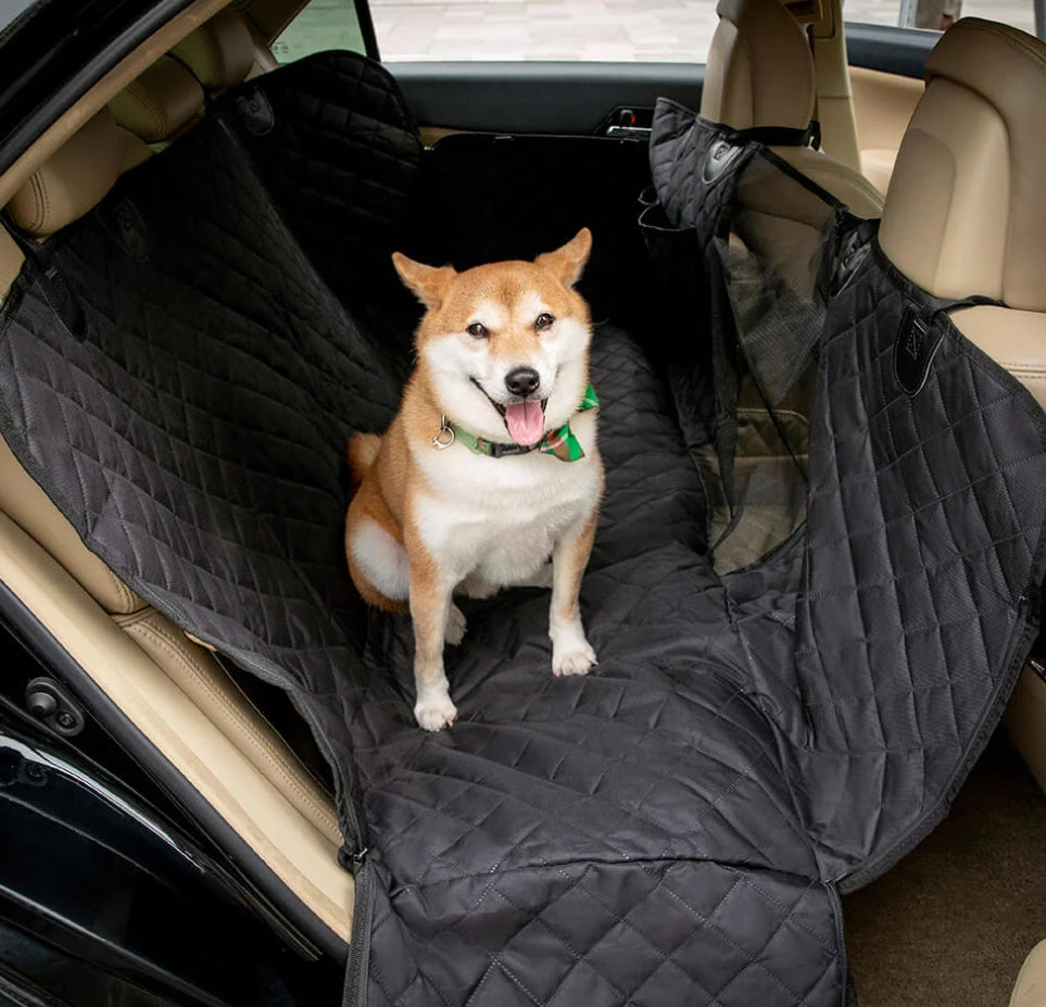 Luchicart™ "Lumina Dog Lounge"